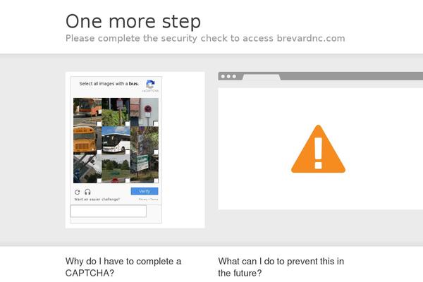 bnc theme websites examples