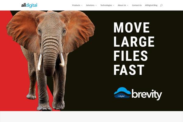 Divi theme site design template sample