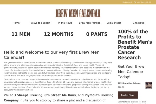 Virtue theme site design template sample