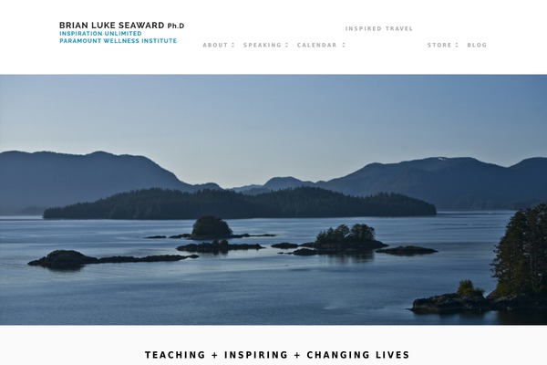Galao theme site design template sample