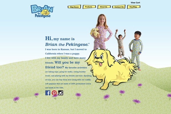 Brian theme websites examples