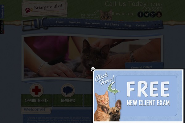 Patchwork theme site design template sample