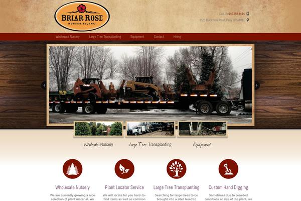 pagoda-press theme websites examples