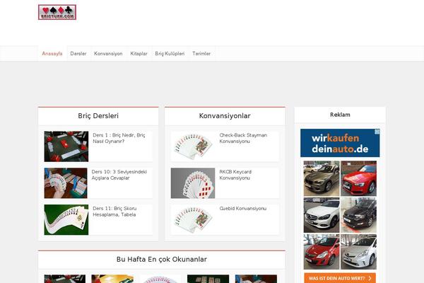 Publisher theme site design template sample