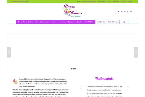 Enfold theme site design template sample