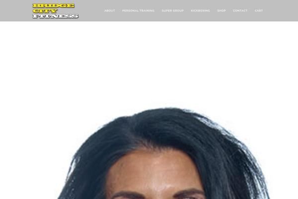 Bridge theme site design template sample