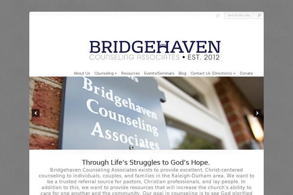 Chameleon theme site design template sample