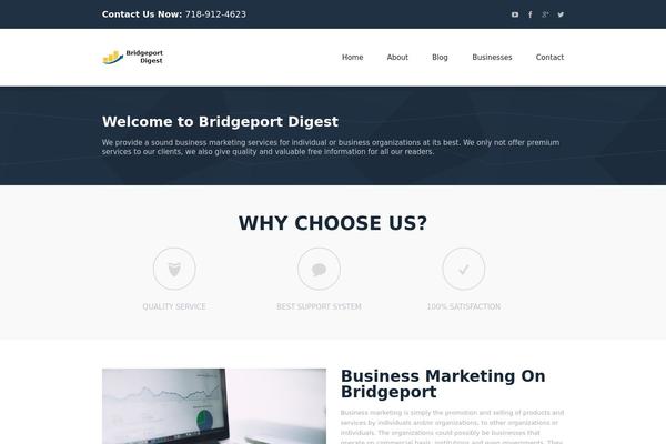 Cw-business-lite theme site design template sample