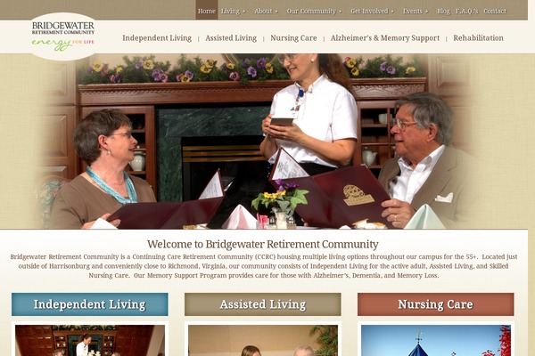 Salient theme site design template sample