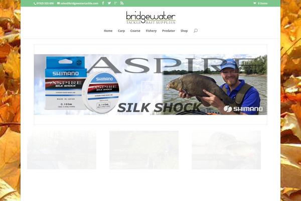 Site using Bloom plugin
