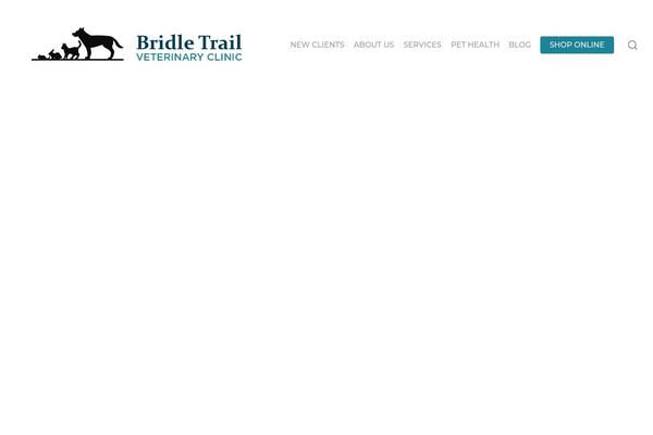 Site using Lifelearn-accessibility plugin