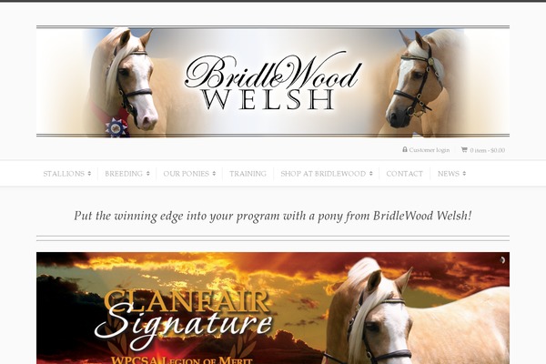 bridlewoodwelsh.com site used Guten
