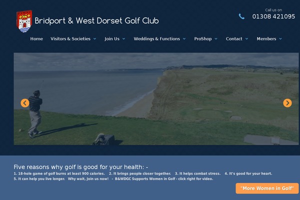 Resort theme site design template sample