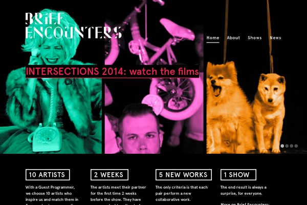 Hayden theme site design template sample