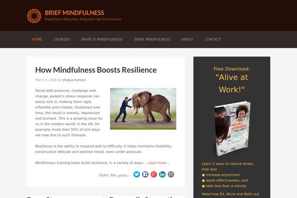 Genesis-child theme site design template sample