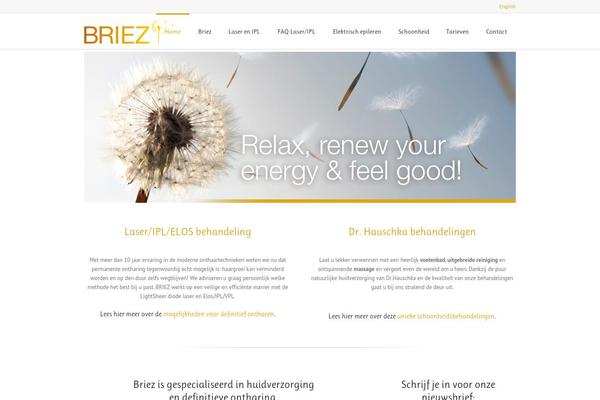 Lounge theme site design template sample