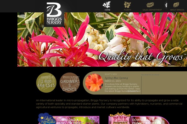 briggsnursery.com site used Briggs