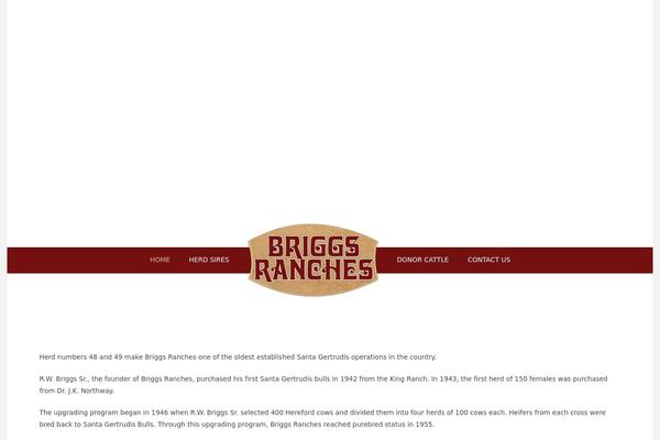 X Child theme site design template sample