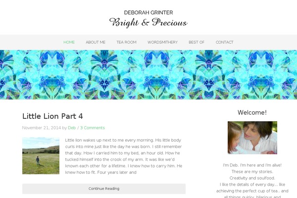 Beautiful Pro Theme theme site design template sample