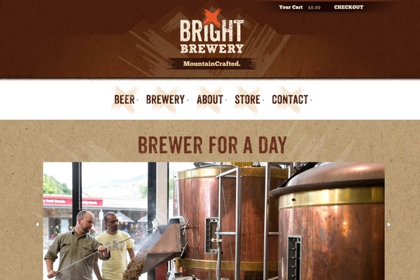 Bright theme site design template sample