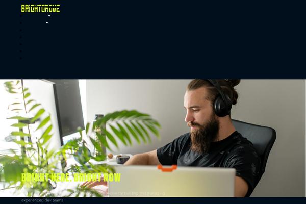 Site using Rocket-lazy-load plugin