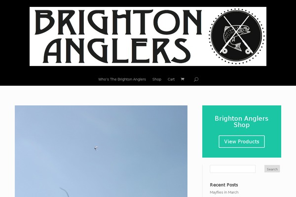Divi-3 theme site design template sample