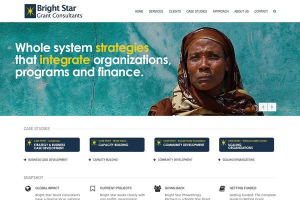 Meteor theme site design template sample