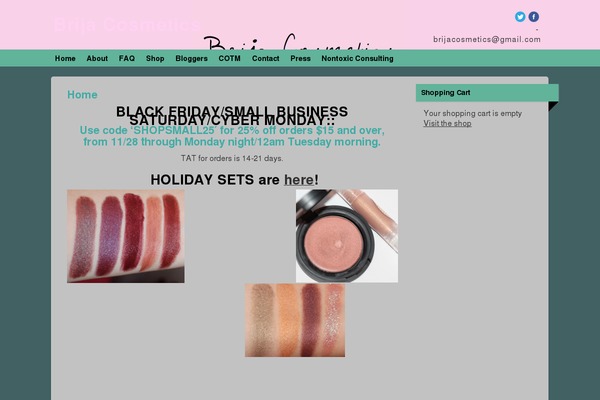 Smallbiz theme site design template sample
