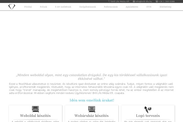 Br theme site design template sample