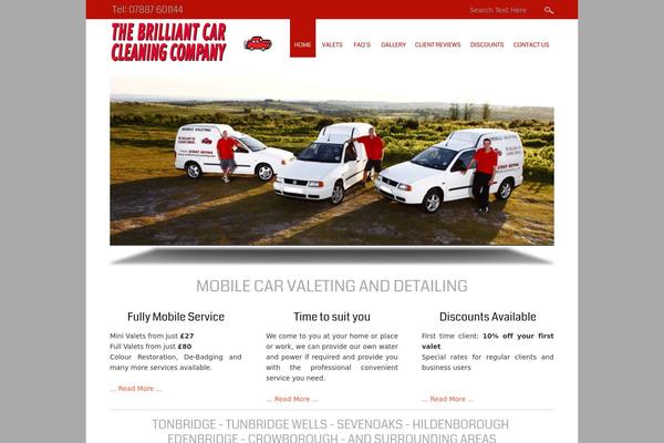 Small Business theme site design template sample