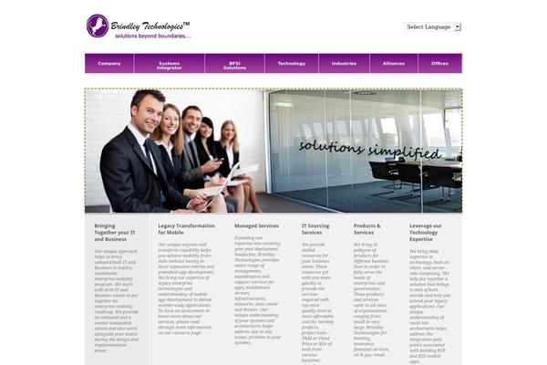 Pitch theme site design template sample