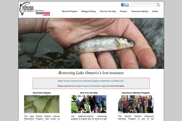 Salmon theme site design template sample