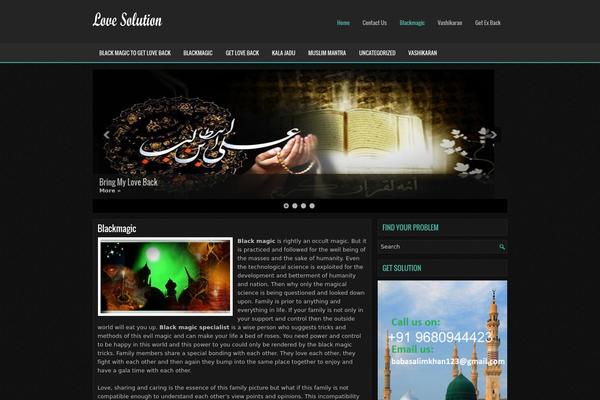 Dinex theme websites examples