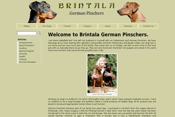 Site using Boxify plugin
