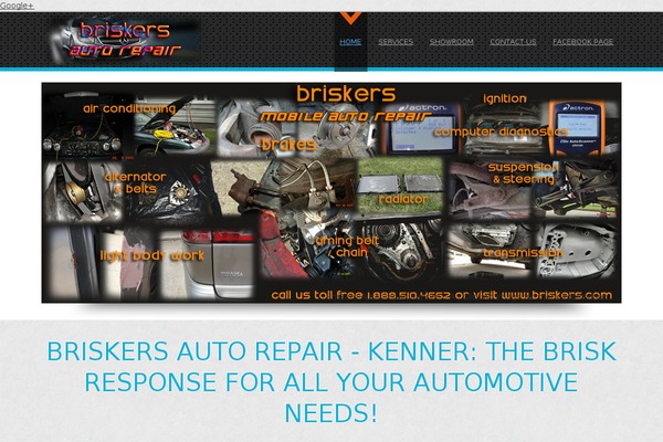 briskers.com site used D5-business-line-extend