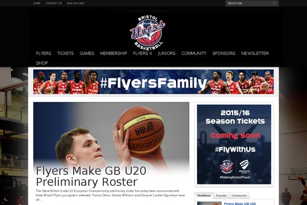 Resportsive theme site design template sample