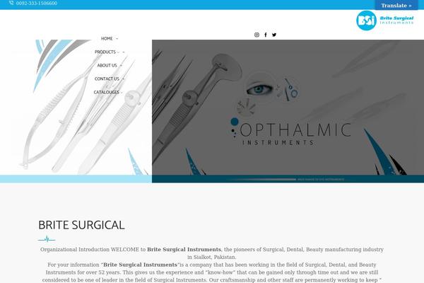 XStore theme site design template sample