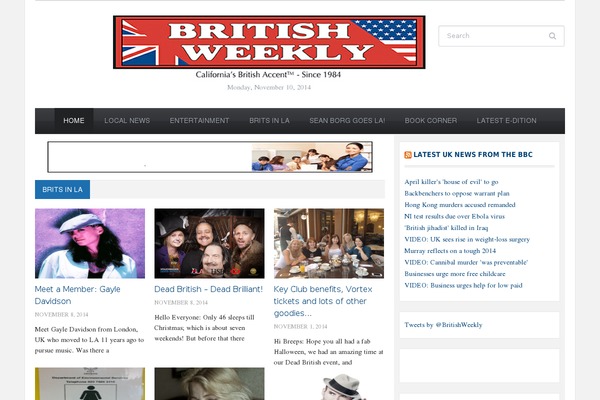 Tribune theme site design template sample