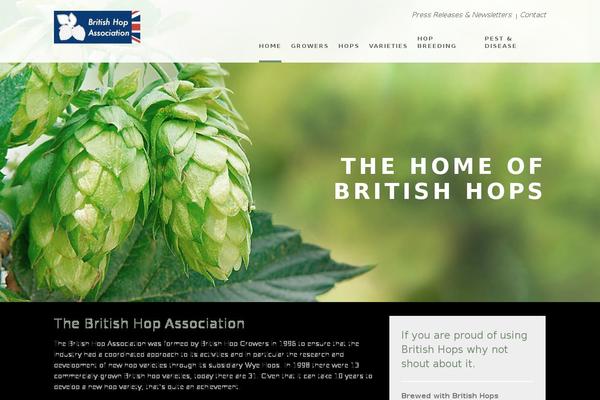 Flare theme site design template sample