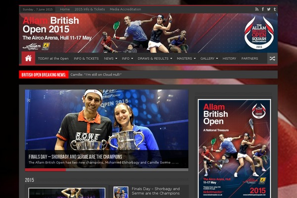 Sahifa theme site design template sample