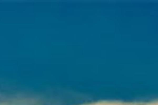 Parallax theme site design template sample