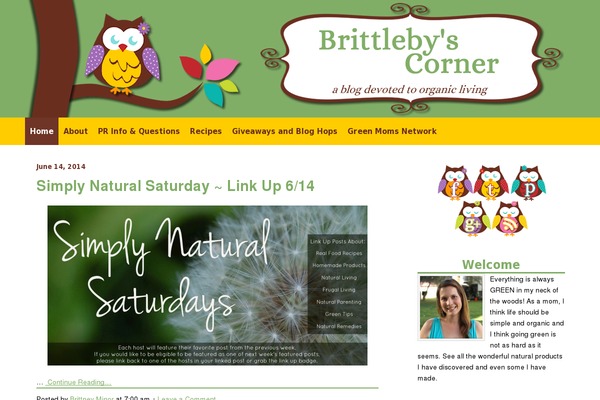 Georgia Child Theme theme site design template sample