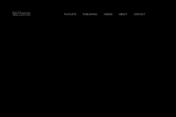 SoundRise theme site design template sample