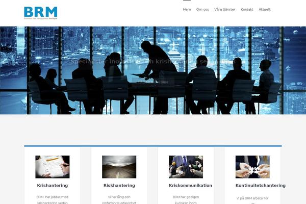 Brm theme site design template sample