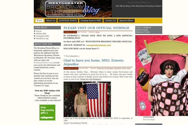 Prosumer theme site design template sample