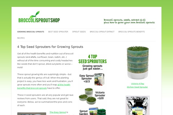 Twentytwelve-child theme site design template sample