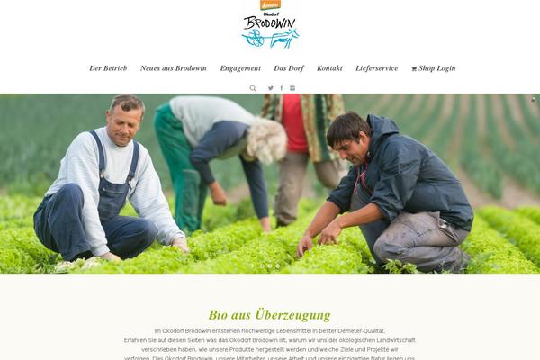 Site using WPNewsman Lite plugin