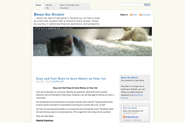 Misty Look theme site design template sample
