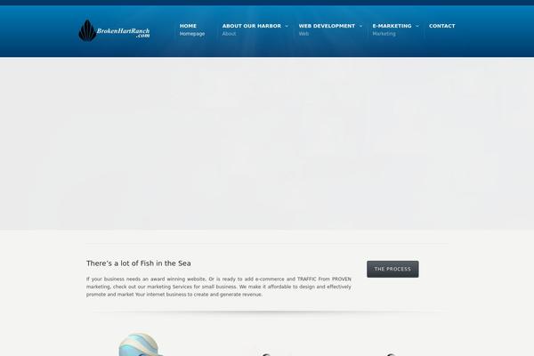 Site using Visitors-traffic-real-time-statistics plugin