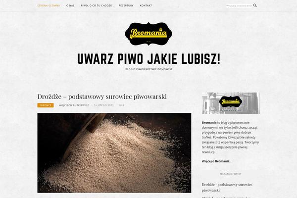 Boston theme site design template sample